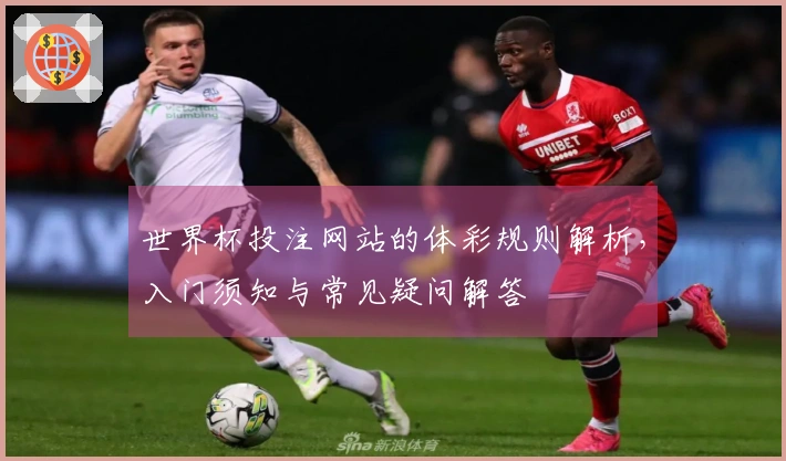 世界杯投注网站的体彩规则解析，入门须知与常见疑问解答