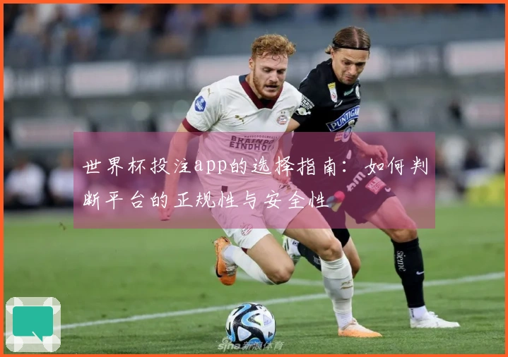 世界杯投注app的选择指南：如何判断平台的正规性与安全性