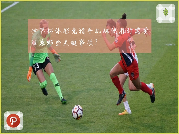 世界杯体彩竞猜手机端使用时需要注意哪些关键事项？