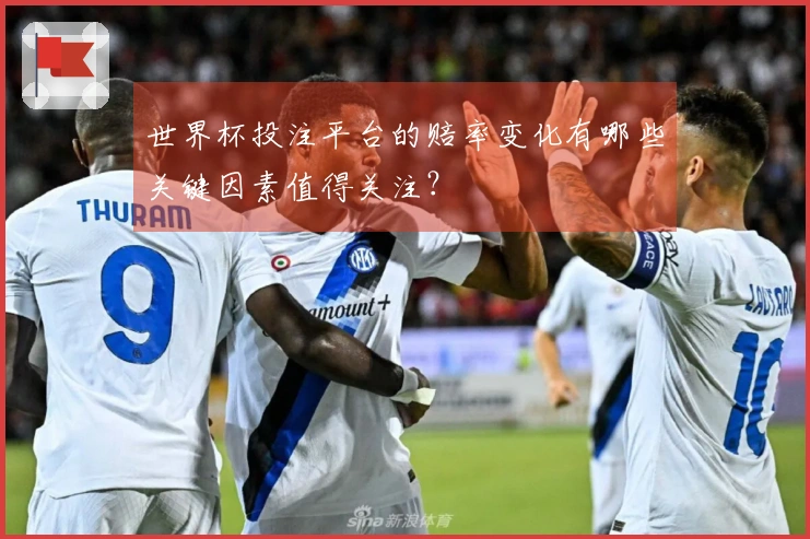 世界杯投注平台的赔率变化有哪些关键因素值得关注？