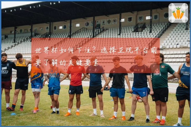 世界杯如何下注？选择正规平台前要了解的关键要素