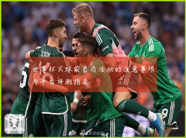 世界杯买球前首存活动的注意事项与平台评测指南