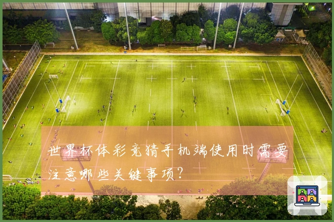 世界杯体彩竞猜手机端使用时需要注意哪些关键事项？