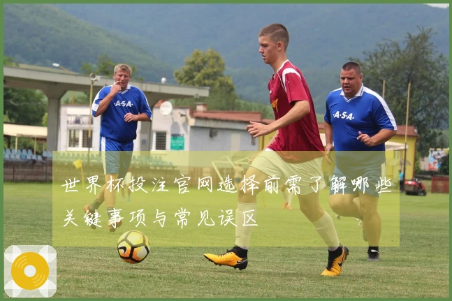 世界杯投注官网选择前需了解哪些关键事项与常见误区