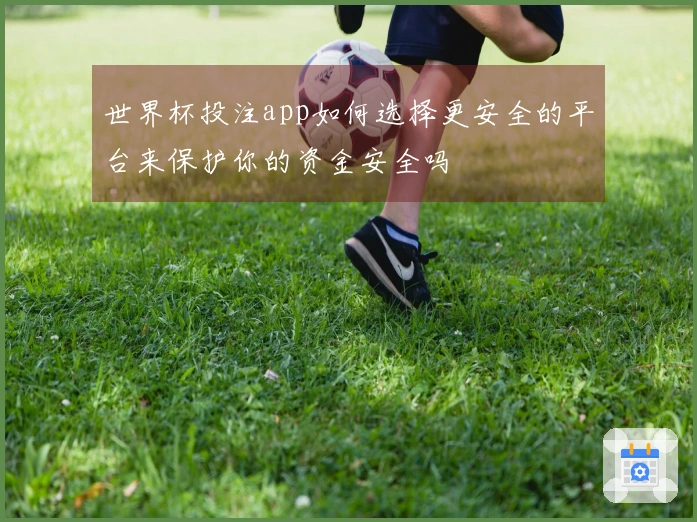 世界杯投注app如何选择更安全的平台来保护你的资金安全吗