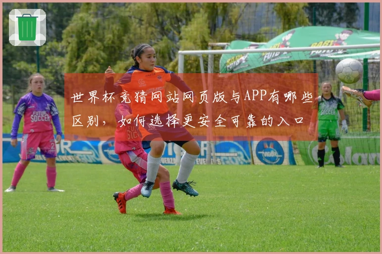 世界杯竞猜网站网页版与APP有哪些区别，如何选择更安全可靠的入口