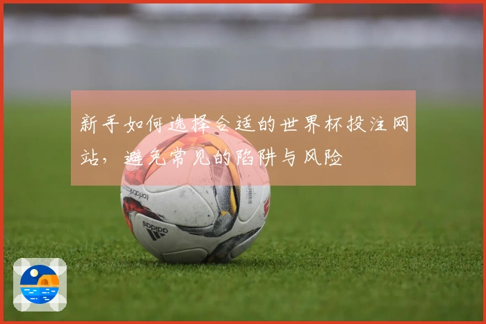 新手如何选择合适的世界杯投注网站,避免常见的陷阱与风险