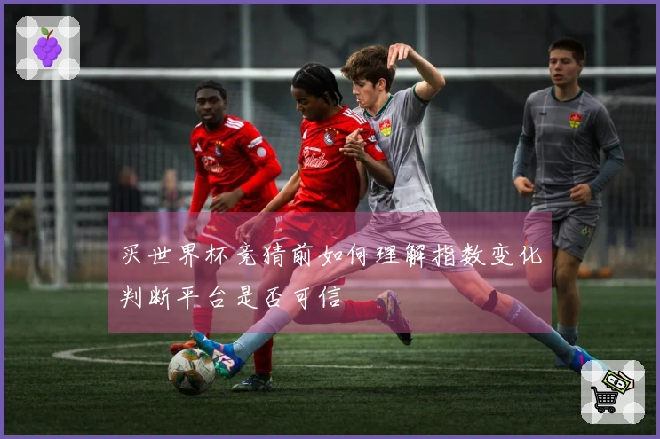 买世界杯竞猜前如何理解指数变化判断平台是否可信