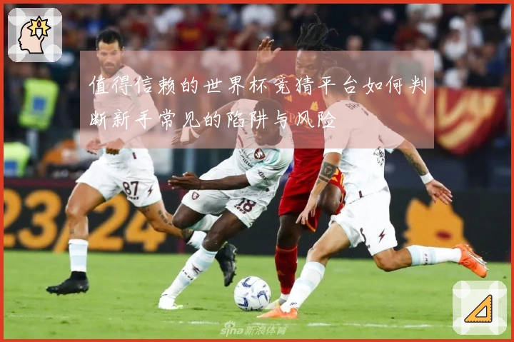 值得信赖的世界杯竞猜平台如何判断新手常见的陷阱与风险