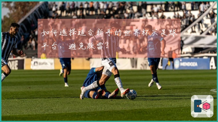 如何选择适合新手的世界杯买足球平台，避免踩雷？