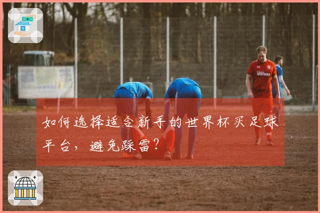 如何选择适合新手的世界杯买足球平台，避免踩雷？