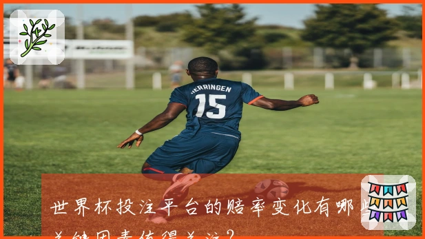 世界杯投注平台的赔率变化有哪些关键因素值得关注？