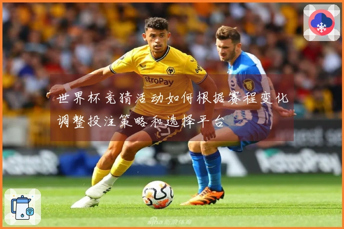 世界杯竞猜活动如何根据赛程变化调整投注策略和选择平台