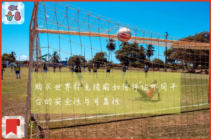 购买世界杯竞猜前如何评估不同平台的安全性与可靠性