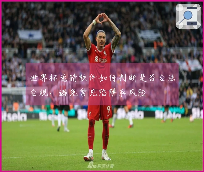 世界杯竞猜软件如何判断是否合法合规，避免常见陷阱和风险
