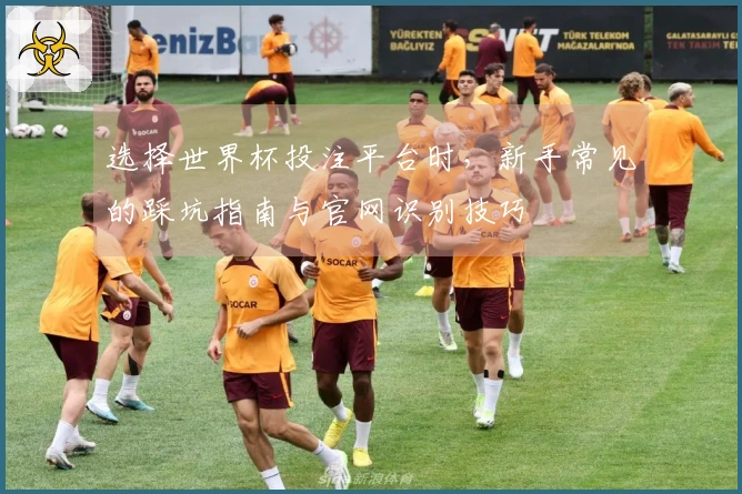 选择世界杯投注平台时，新手常见的踩坑指南与官网识别技巧